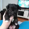 reginaodonnell4 - @reginaodonnell4 - TikTok
