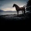 Regina Olvera - @regis13345 - TikTok