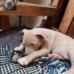 Regina Paloma Aguilar Montañez - Facebook