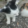 Joanna  - @regina.pass - TikTok