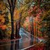 Regina Paul - Facebook
