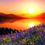 Regina Persson - Facebook