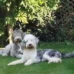 Regina Potts - @flames1969 - Instagram