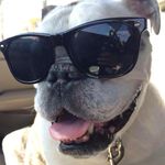 Regina M. Quick - @ironlady117 - Instagram