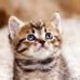 Regina Rapp - Facebook