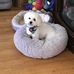Regina Rawls - Facebook
