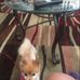 Regina Ray - Facebook
