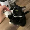 reginareads - @reginareadsnonsense - TikTok