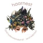 Regina Renner - @haarnest_typisch_renner - Instagram