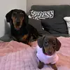 Rex & Regina - @rexandregina - TikTok
