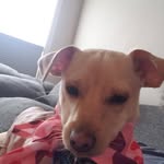Regina Rose Jensen - @reginaroybaljensen - Instagram