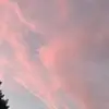 . - @regina.rucker - TikTok