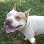 Regina Rucker - @regina.rucker.7982 - Instagram