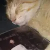 kiki - @regina.rys_21 - TikTok