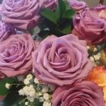 Regina Scales - @scalesregina01 - Instagram