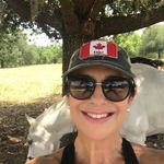 Regina Eliane Reganassi - @regina.schaefer - Instagram