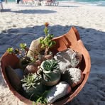 Regina Schaffer - Facebook