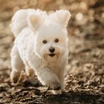 Regina Scheidegger - Facebook