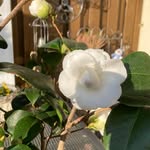 Regina - @regina_schillinger - Instagram
