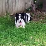 Regina Schilling - @regina.schilling - Instagram