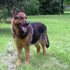 Regina Schmid - @regina.schmid0 - TikTok