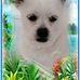 Regina Schmidt - Facebook
