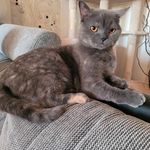 Regina - @regina.schultz_ - Instagram