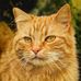 Regina Schultz - Facebook