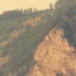 Regina Schuster - @regi.na5084 - Instagram