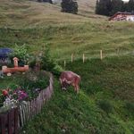 Regina Schuster - @retsch1480 - Instagram