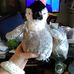 Regina Shields - Facebook