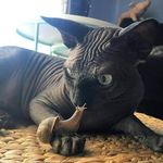 Regina Snell - @regina.snell.79 - Instagram