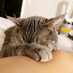 melissa.speed - @melissa.regina.speed - Instagram