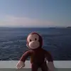 regina - @regina.appleton - TikTok