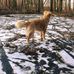 Regina Stroh - Facebook
