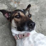 Regina Scooby - @_reginastuart - Instagram