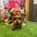 Regina Stuart - Facebook