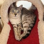 Regina Swartz - @reginaswartz5252 - Instagram