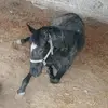 Regina Tenorio - @regina.tenorio41 - TikTok