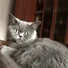 Регина - @reginatom72 - TikTok