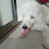 Regina Valerio  - @regivalerio - TikTok