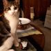 Jacqueline Regina-waring - Facebook