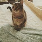 Regina Webster - @rmwebs5265r - Instagram