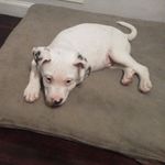 Gina Weeks Behrend - @gypsygirl_5150 - Instagram
