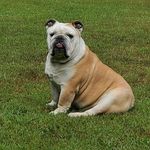 Regina Weeks - @rr_weeks - Instagram