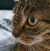 Regina Werth - Facebook
