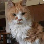 Regina Wiseman - @regina.wiseman.53 - Instagram
