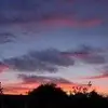 reginawray5 - @reginawray5 - TikTok