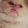 Reginald Ball - @reggie_bbb - TikTok