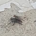 Reg - @barrowsreginald74 - Instagram